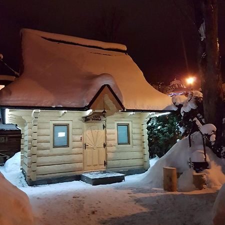 Dadejowka Zakopane Villa Exteriör bild